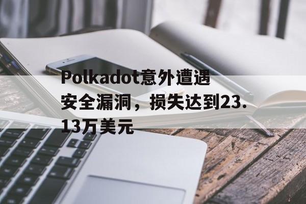 kaiyun网站-Polkadot意外遭遇安全漏洞，损失达到23.13万美元的简单介绍