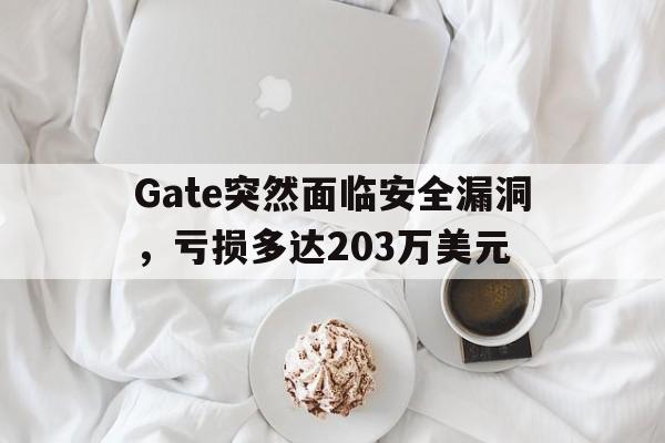 Kaiyun APP-关于Gate突然面临安全漏洞，亏损多达203万美元的信息