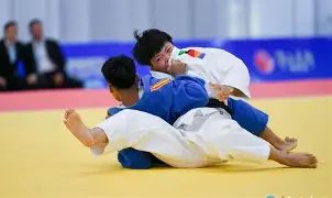 岭北雷霆队鏖战东海金雕队，柔道锦标赛火力全开，转换速度占优。争冠格局再洗牌